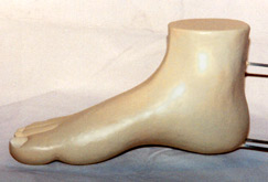 medical sculpture of a lifelike foot by Lawrence Kinney